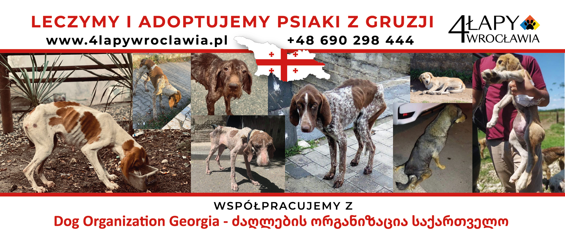 etykieta_puszka_312x130_GRUZJA-01